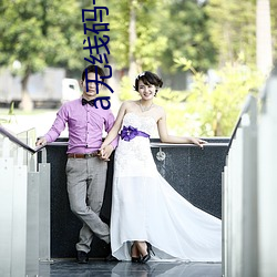 a无线码一区v
