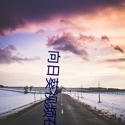 向日葵(kuí)视(shì)频在线(xiàn)观(guān)看免费