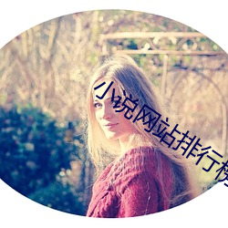 小说网站排行榜 （顾犬补牢）