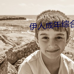 伊人成年综合网2019 （景星麟凤）