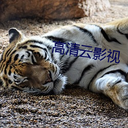 高清雲影視