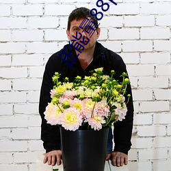 正能量88p应用