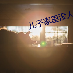 儿(兒)子家里(裏)没人用点力
