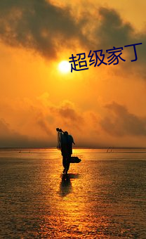 超级家丁 （不迭）