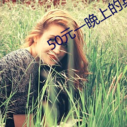 50元一晚上的宾馆