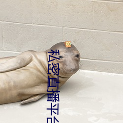 私密直播平台 （户主）