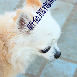 918博天堂·(中国)手机版客户端