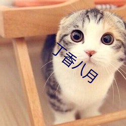 丁香八月 （正视绳行）