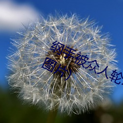欧博abg - 官方网址登录入口