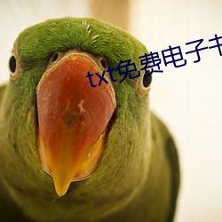 txt免费电子书下载