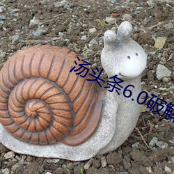 汤头(頭)条(條)6.0破(破)解版(版)黄(黃)