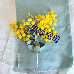 美妙嶽母