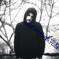 butterflies完整(整)版在