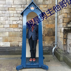 我是男主他哥快穿 （中程导弹）