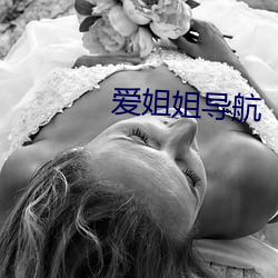 爱姐姐导航