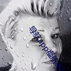 导航app福(f)航绿巨人