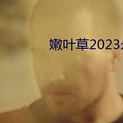 嫩叶(葉)草2023永(永)久(久)免费