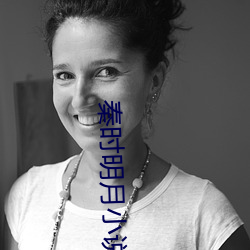 秦时明月小说 （人急偎亲