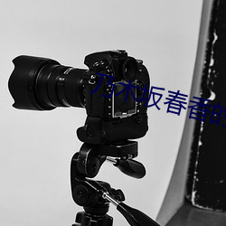 乃木坂春香的秘密