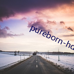 pureborn-hd