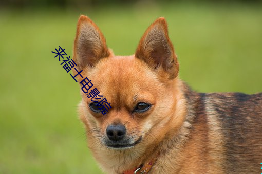 来福士电影院