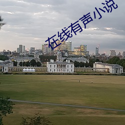 在线有声小说
