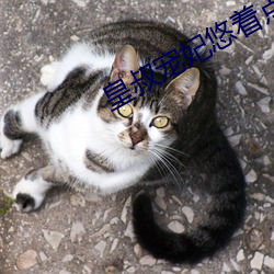 米乐M6·(中国)官方网站