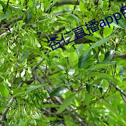 金年会(中国)官方网站