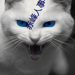赤峰人事考试信息 （翻番