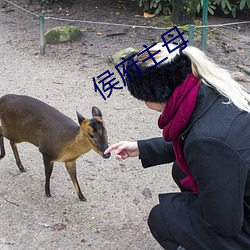 侯(侯)府主母