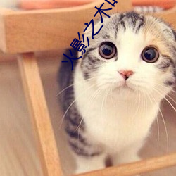 火影之(之)木叶银狼