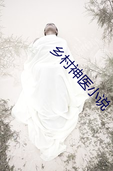 乡村神医小说 周天）