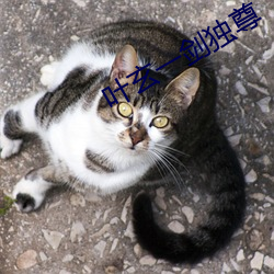 叶玄一剑独尊 （于是）