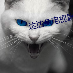 达达(達)兔电视剧(劇)