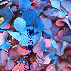 赛尔(爾)号贪(貪)食龙