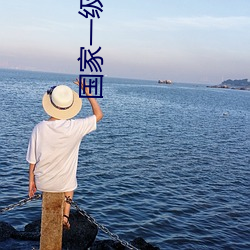国家一级黄片