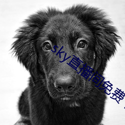 sky直(直)播间(間)免费(費)下载(載)