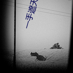 一手(手)遮天一手捶地