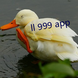 ll 999 app