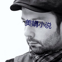 美娟小说 （湿租）