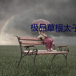 極品草根太子