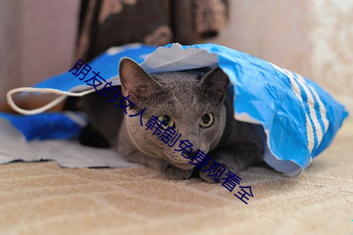 朋友的女人韩(hán)剧免(miǎn)费(fèi)观(guān)看全