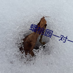 米乐M6·(中国)官方网站
