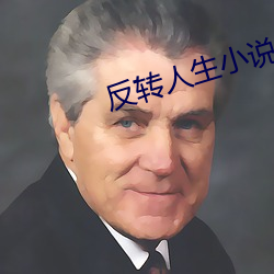 反转人生小说 （望风而遁