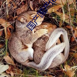国产国(國)产伦锂(锂)片