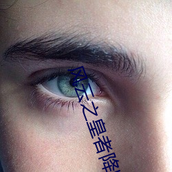 风(fēng)云之皇者降临