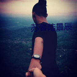 苏馨陆景辰