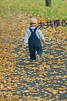 三(sān)夫共享(xiǎng)仪器