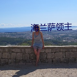 海兰萨领主
