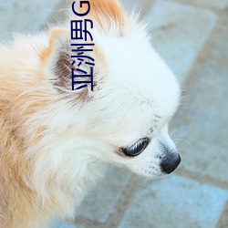 亚洲男GAY视频(pín)